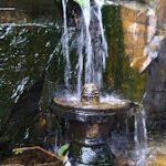 images-1-23-m2WQ1kBZooseDKaM